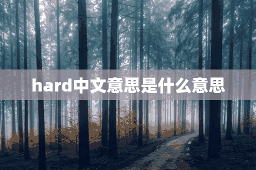 hard中文意思是什么意思